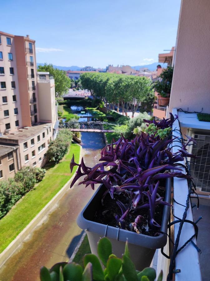 Le Balcon De La Basse Centre Ville De Perpignan Exterior foto